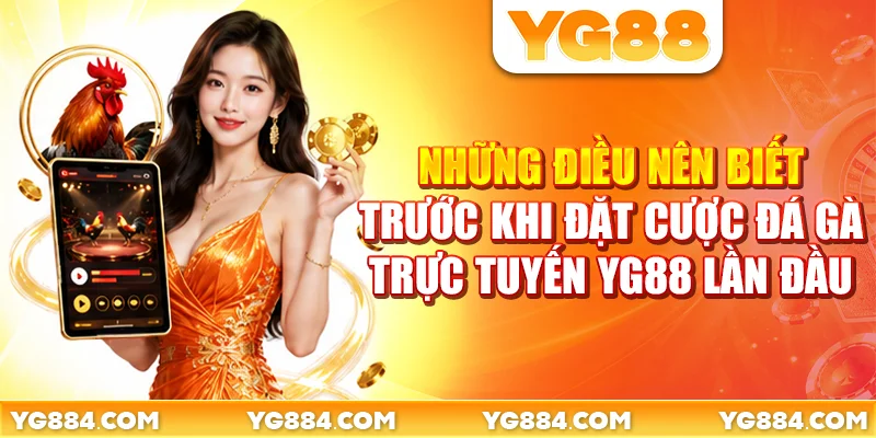 Đá Gà Trực Tuyến YG88: Xem 4 Trường Gà Mượt Mà - Piwin