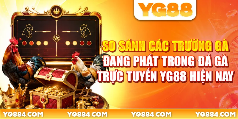 Đá Gà Trực Tuyến YG88: Xem 4 Trường Gà Mượt Mà - Piwin
