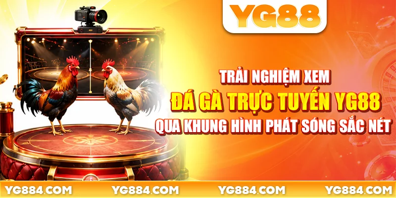 Đá Gà Trực Tuyến YG88: Xem 4 Trường Gà Mượt Mà - Piwin
